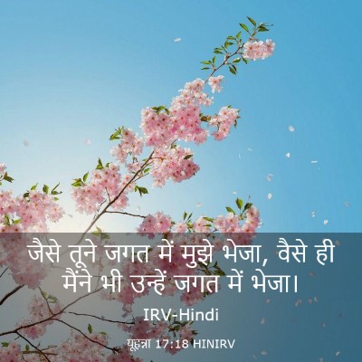 Picture 03 - यूहन्ना 17:18 HINIRV - जैसे तूने जगत में - Bible Verse Picture
