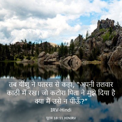 Picture 03 - यूहन्ना 18:11 HINIRV - तब यीशु ने पतरस से - Bible Verse Picture