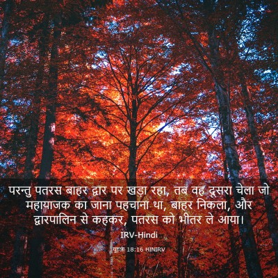 Picture 03 - यूहन्ना 18:16 HINIRV - परन्तु पतरस बाहर - Bible Verse Picture
