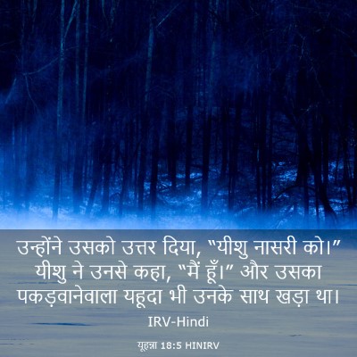Picture 03 - यूहन्ना 18:5 HINIRV - उन्होंने उसको - Bible Verse Picture