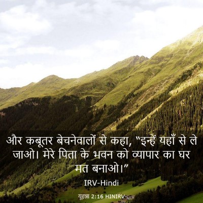 Picture 03 - यूहन्ना 2:16 HINIRV - और कबूतर - Bible Verse Picture
