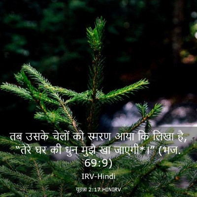 Picture 03 - यूहन्ना 2:17 HINIRV - तब उसके चेलों को - Bible Verse Picture