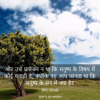 Picture 03 - यूहन्ना 2:25 HINIRV - और उसे प्रयोजन न था - Bible Verse Picture