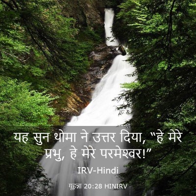 Picture 03 - यूहन्ना 20:28 HINIRV - यह सुन थोमा ने - Bible Verse Picture