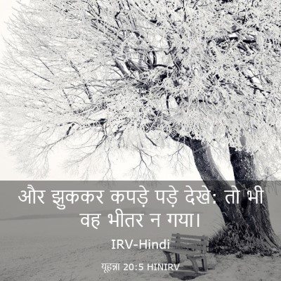 Picture 03 - यूहन्ना 20:5 HINIRV - और झुककर कपड़े - Bible Verse Picture