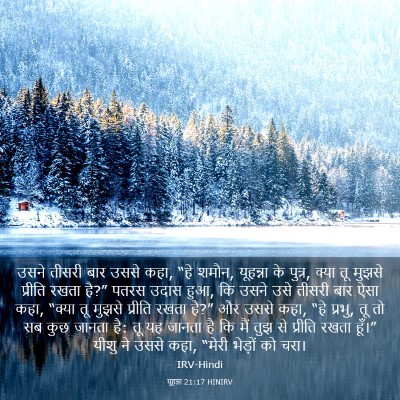 Picture 03 - यूहन्ना 21:17 HINIRV - उसने तीसरी बार - Bible Verse Picture