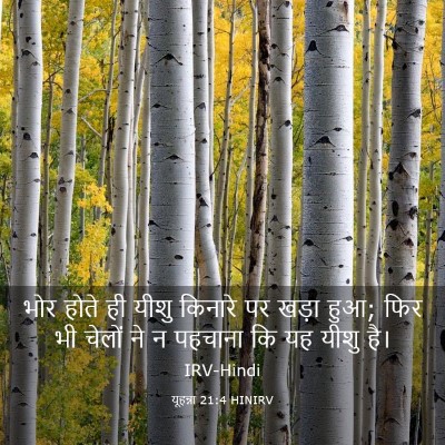 Picture 03 - यूहन्ना 21:4 HINIRV - भोर होते ही यीशु - Bible Verse Picture