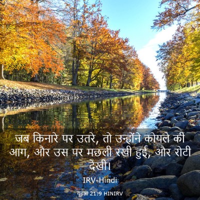 Picture 03 - यूहन्ना 21:9 HINIRV - जब किनारे पर उतरे, - Bible Verse Picture