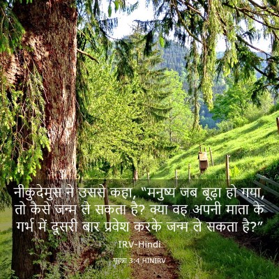 Picture 03 - यूहन्ना 3:4 HINIRV - नीकुदेमुस ने उससे - Bible Verse Picture