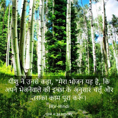 Picture 03 - यूहन्ना 4:34 HINIRV - यीशु ने उनसे कहा, - Bible Verse Picture
