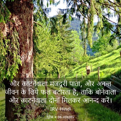 Picture 03 - यूहन्ना 4:36 HINIRV - और काटनेवाला - Bible Verse Picture