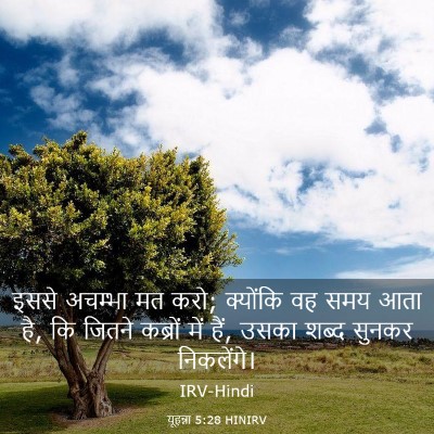 Picture 03 - यूहन्ना 5:28 HINIRV - इससे अचम्भा मत करो; - Bible Verse Picture