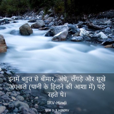 Picture 03 - यूहन्ना 5:3 HINIRV - इनमें बहुत से - Bible Verse Picture
