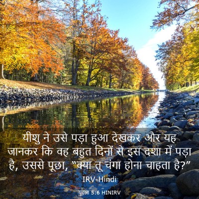 Picture 03 - यूहन्ना 5:6 HINIRV - यीशु ने उसे पड़ा - Bible Verse Picture