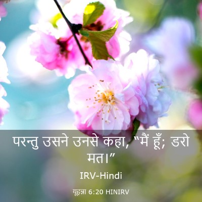 Picture 03 - यूहन्ना 6:20 HINIRV - परन्तु उसने उनसे - Bible Verse Picture