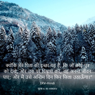 Picture 03 - यूहन्ना 6:40 HINIRV - क्योंकि मेरे पिता - Bible Verse Picture