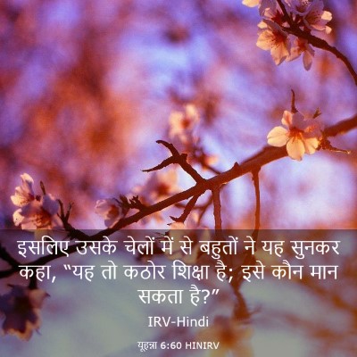 Picture 03 - यूहन्ना 6:60 HINIRV - इसलिए उसके चेलों - Bible Verse Picture