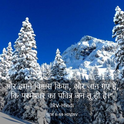 Picture 03 - यूहन्ना 6:69 HINIRV - और हमने विश्वास - Bible Verse Picture