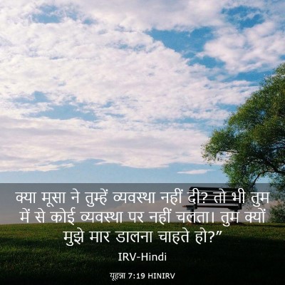 Picture 03 - यूहन्ना 7:19 HINIRV - क्या मूसा ने - Bible Verse Picture
