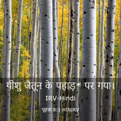 Picture 03 - यूहन्ना 8:1 HINIRV - यीशु जैतून के - Bible Verse Picture