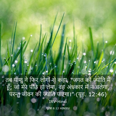 Picture 03 - यूहन्ना 8:12 HINIRV - तब यीशु ने फिर - Bible Verse Picture