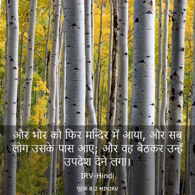 Picture 03 - यूहन्ना 8:2 HINIRV - और भोर को फिर - Bible Verse Picture
