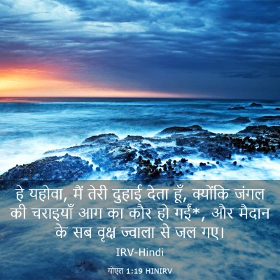 Picture 03 - योएल 1:19 HINIRV - हे यहोवा, मैं तेरी - Bible Verse Picture