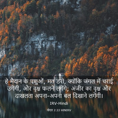 Picture 03 - योएल 2:22 HINIRV - हे मैदान के पशुओं, - Bible Verse Picture
