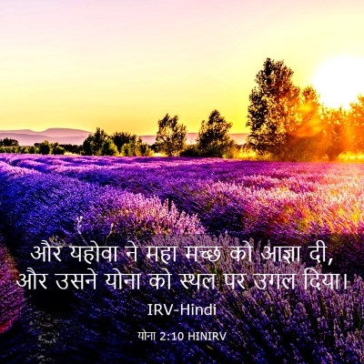 Picture 03 - योना 2:10 HINIRV - और यहोवा ने महा - Bible Verse Picture