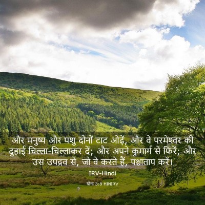 Picture 03 - योना 3:8 HINIRV - और मनुष्य और पशु - Bible Verse Picture