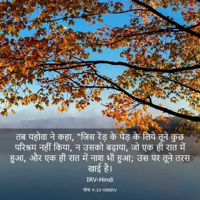 Picture 03 - योना 4:10 HINIRV - तब यहोवा ने कहा, - Bible Verse Picture