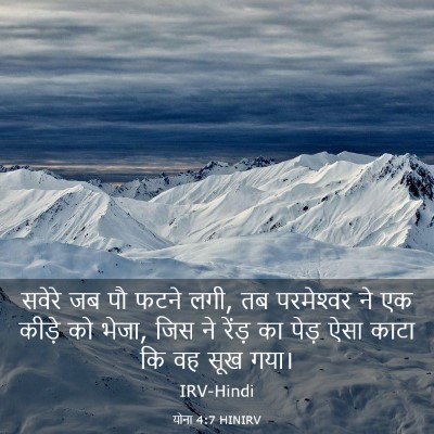 Picture 03 - योना 4:7 HINIRV - सवेरे जब पौ फटने - Bible Verse Picture