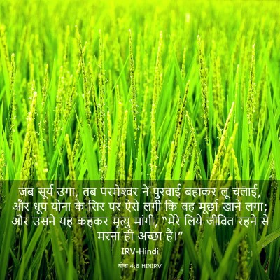 Picture 03 - योना 4:8 HINIRV - जब सूर्य उगा, तब - Bible Verse Picture