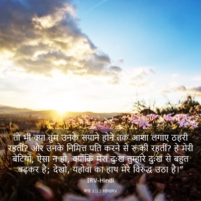 Picture 03 - रूत 1:13 HINIRV - तो भी क्या तुम उनके - Bible Verse Picture