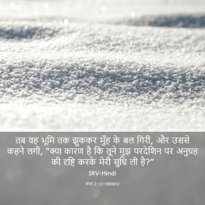Picture 03 - रूत 2:10 HINIRV - तब वह भूमि तक झुककर - Bible Verse Picture