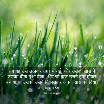 Picture 03 - रूत 2:18 HINIRV - तब वह उसे उठाकर नगर - Bible Verse Picture