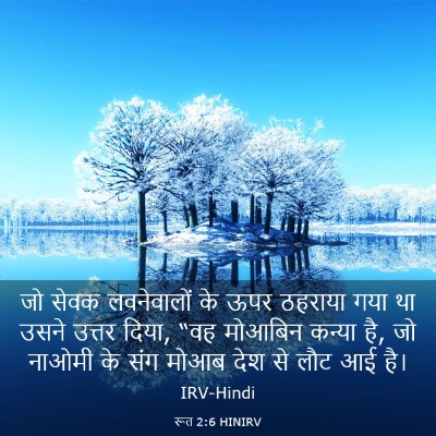 Picture 03 - रूत 2:6 HINIRV - जो सेवक लवनेवालों - Bible Verse Picture