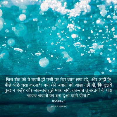 Picture 03 - रूत 2:9 HINIRV - जिस खेत को वे लवती - Bible Verse Picture