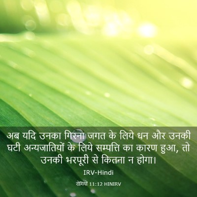 Picture 03 - रोमियों 11:12 HINIRV - अब यदि उनका गिरना - Bible Verse Picture