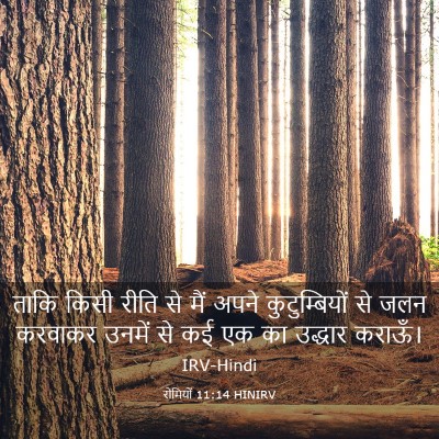 Picture 03 - रोमियों 11:14 HINIRV - ताकि किसी रीति से - Bible Verse Picture