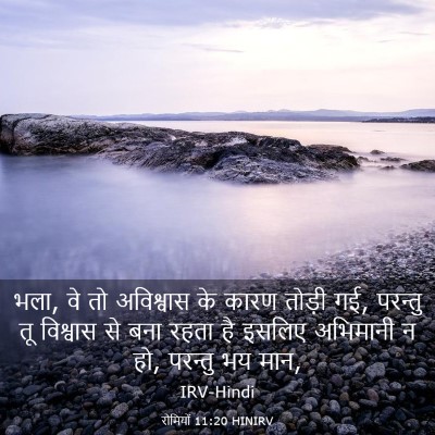 Picture 03 - रोमियों 11:20 HINIRV - भला, वे तो अविश्वास - Bible Verse Picture