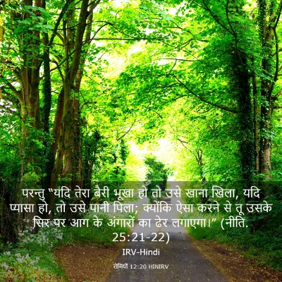 Picture 03 - रोमियों 12:20 HINIRV - परन्तु “यदि तेरा - Bible Verse Picture
