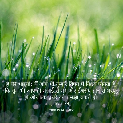 Picture 03 - रोमियों 15:14 HINIRV - हे मेरे भाइयों; मैं - Bible Verse Picture