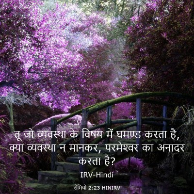 Picture 03 - रोमियों 2:23 HINIRV - तू जो व्यवस्था के - Bible Verse Picture
