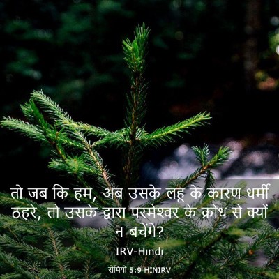 Picture 03 - रोमियों 5:9 HINIRV - तो जब कि हम, अब उसके - Bible Verse Picture