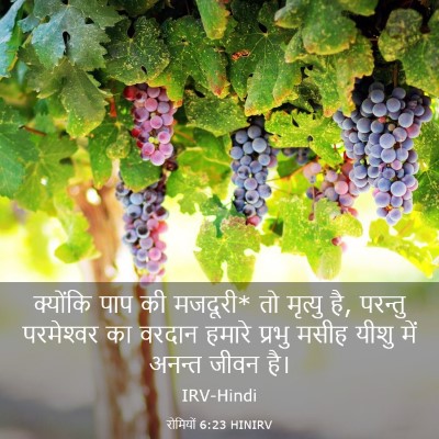 Picture 03 - रोमियों 6:23 HINIRV - क्योंकि पाप की - Bible Verse Picture