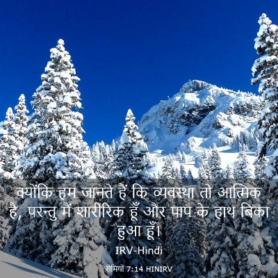 Picture 03 - रोमियों 7:14 HINIRV - क्योंकि हम जानते - Bible Verse Picture