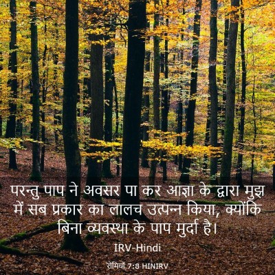Picture 03 - रोमियों 7:8 HINIRV - परन्तु पाप ने अवसर - Bible Verse Picture