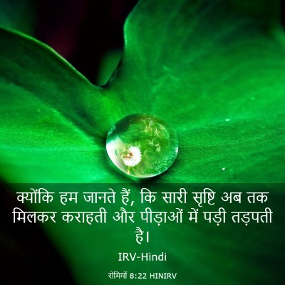 Picture 03 - रोमियों 8:22 HINIRV - क्योंकि हम जानते - Bible Verse Picture