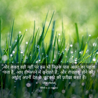 Picture 03 - रोमियों 8:23 HINIRV - और केवल वही नहीं पर - Bible Verse Picture